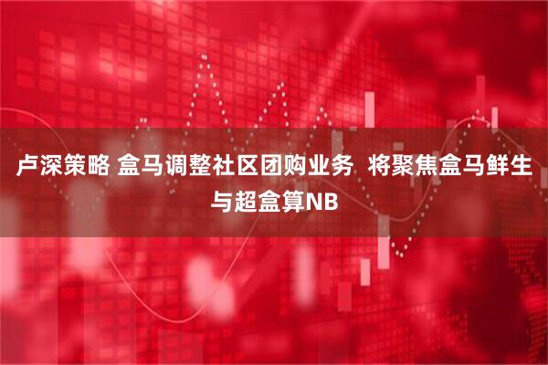 卢深策略 盒马调整社区团购业务  将聚焦盒马鲜生与超盒算NB