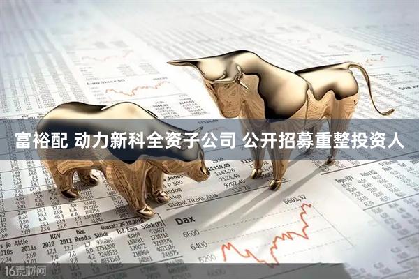 富裕配 动力新科全资子公司 公开招募重整投资人