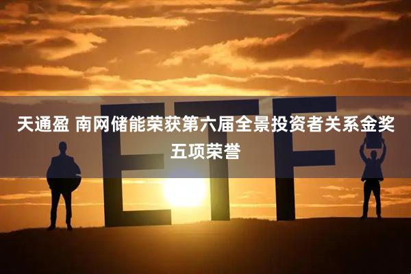 天通盈 南网储能荣获第六届全景投资者关系金奖五项荣誉