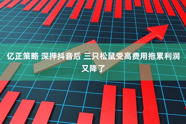 亿正策略 深押抖音后 三只松鼠受高费用拖累利润又降了