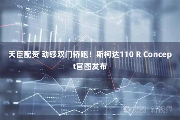 天臣配资 动感双门轿跑！斯柯达110 R Concept官图发布