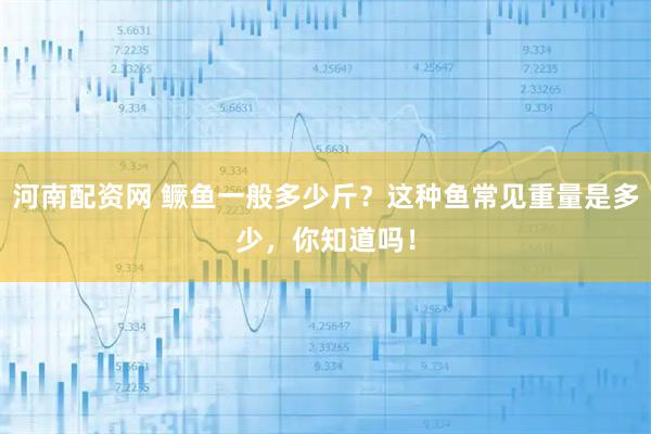 河南配资网 鳜鱼一般多少斤？这种鱼常见重量是多少，你知道吗！