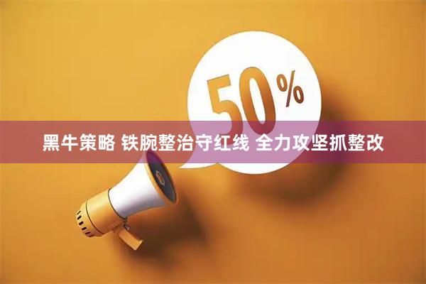 黑牛策略 铁腕整治守红线 全力攻坚抓整改