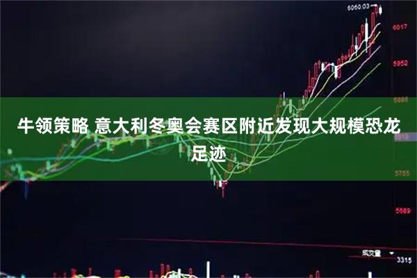 牛领策略 意大利冬奥会赛区附近发现大规模恐龙足迹